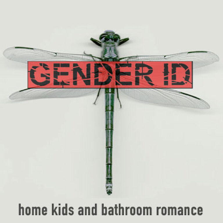 Read more about the article Home Kids And Bathroom Romance (album by Gender ID)