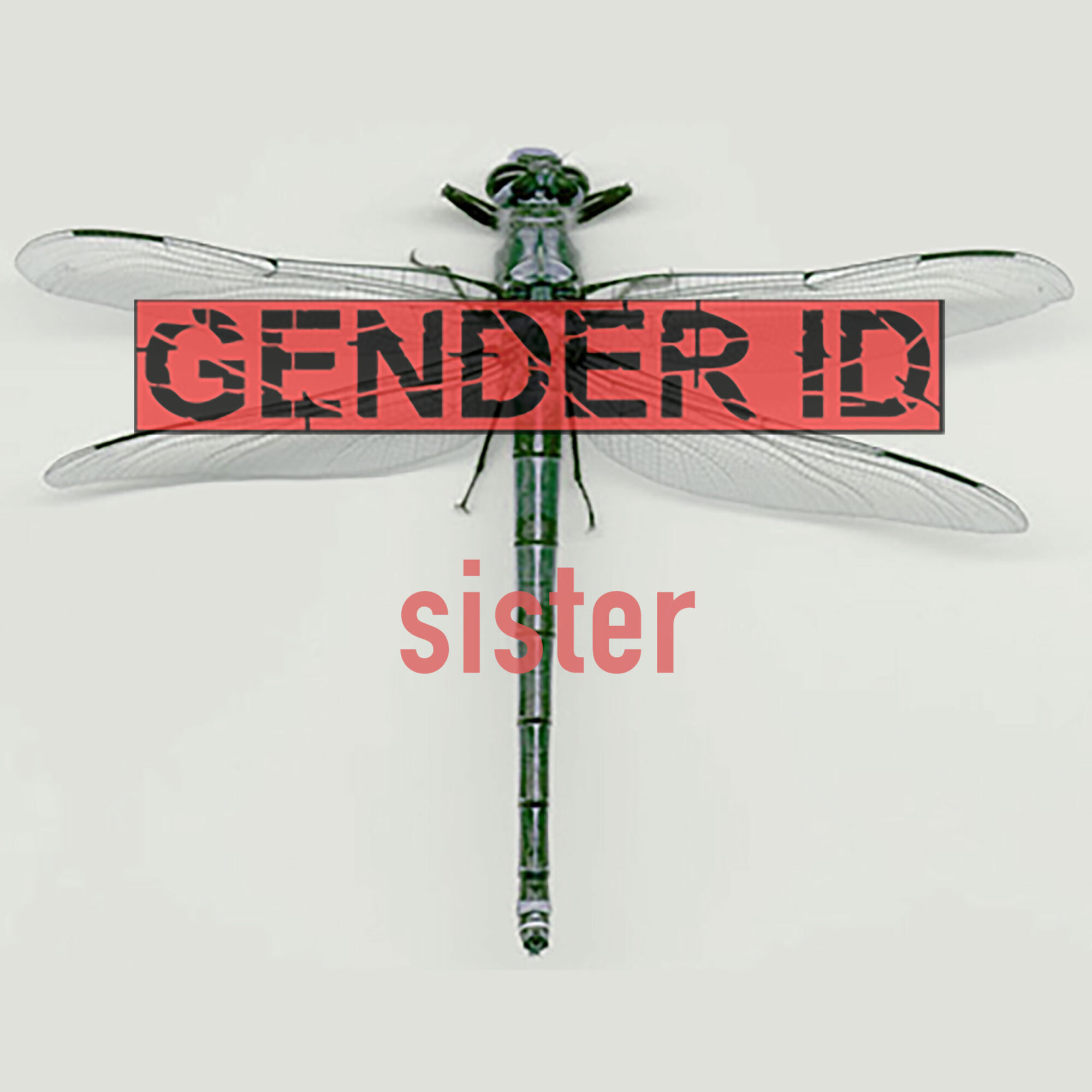 ‘sister’ release on 09.11.23: the ‘lost’ song of gender id revealed